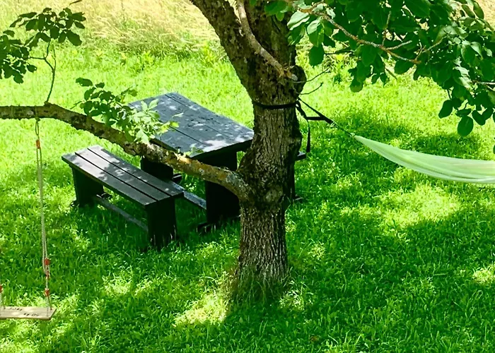 Wildernest Holiday Home